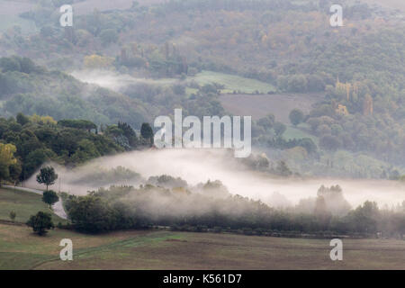 Une vallée de brouillard couvrant quelques arbres Banque D'Images