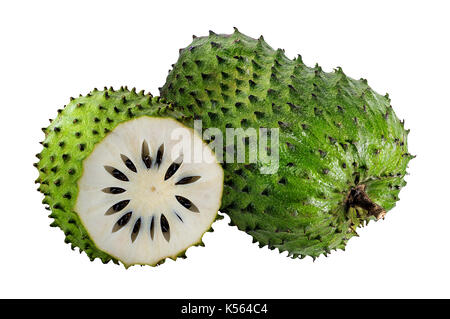 Annona muricata.corossol fruit (pomme de sucre ,l'anone ) isolé sur fond blanc Banque D'Images