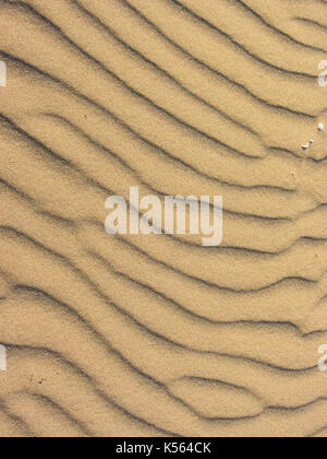 Jaune sable déplacé par le vent Banque D'Images