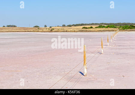 La couleur rose de ce lac près de meningie est due à certaines algues - sa, Australie Banque D'Images