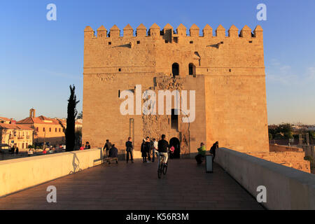 Tour de Torre de la Calahorra, Cordoue, Espagne musée du pont romain Banque D'Images