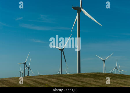 Les éoliennes près de Rio Vista, Central Valley, CA Banque D'Images