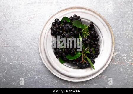 Aronie à silver bol en métal sur fond gris. aronia berry avec feuille. vue d'en haut. copy space Banque D'Images