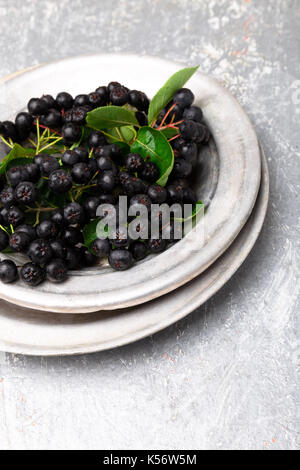 Aronie à silver bol en métal sur fond gris. aronia berry avec feuille. vue d'en haut. copy space Banque D'Images