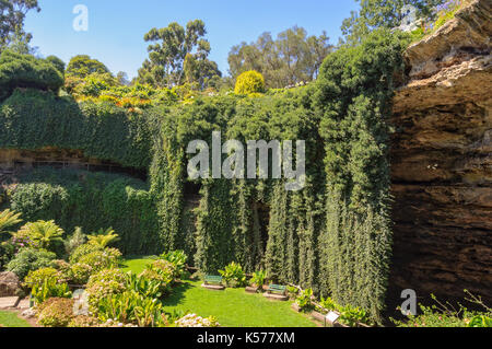 Le jardin en contrebas a été construit il y a plus d'un siècle dans l'umpherston sinkhole - Mount Gambier, sa, Australia Banque D'Images