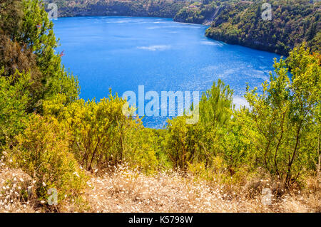 D'arbustes sur le bord du lac bleu - Mount Gambier, sa, Australia Banque D'Images