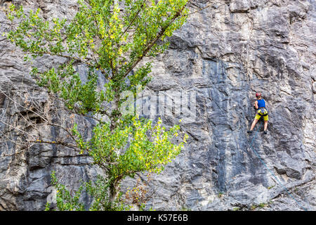 Alkazar carrière de calcaire dans la vallée de la rivière Berounka près du village de Srbsko, de l'espace pour l'escalade sur les rochers, République Tchèque Banque D'Images