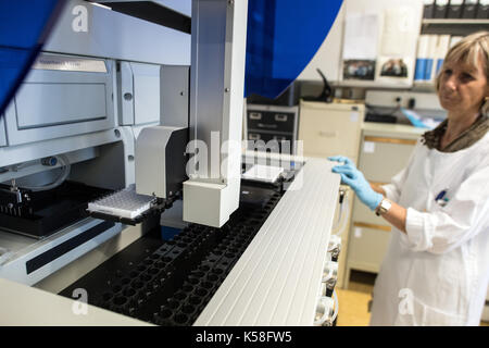 Düsseldorf, Allemagne. Sep 8, 2017. l'assistance technique et de l'assistant médical annete hoffmann travaille sur un "ynar", une machine pour des prétests immunochimique du sérum et d'autres liquides organiques à l'Institut de médecine légale à Duesseldorf, Allemagne, le 8 septembre 2017. certains 18000 autopsies judiciaires sont effectuées en Allemagne sur une base annuelle. photo : Federico gambarini/dpa/Alamy live news Banque D'Images
