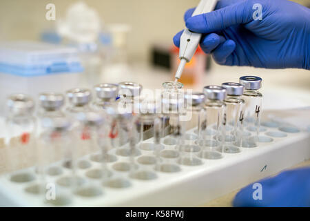 Düsseldorf, Allemagne. Sep 8, 2017. l'assistance technique et de l'assistant médical helga waha prépare des échantillons pour une chromatographie en phase gazeuse avec spectrométrie de masse pour l'analyse des niveaux d'alcool dans la circulation sanguine à l'Institut de médecine légale à Duesseldorf, Allemagne, le 8 septembre 2017. certains 18000 autopsies judiciaires sont effectuées en Allemagne sur une base annuelle. photo : Federico gambarini/dpa/Alamy live news Banque D'Images