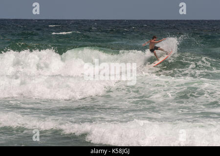 Delray Beach, Florida, USA. Sep 8, 2017 surfers. Un peu d'exercice avant de l'ouragan irma à Delray Beach, Floride., septembert. 08, 2017. Irma est le suivi n'a montré qu'elle touche terre sur la côte sud de la Floride d'ici la fin de semaine. crédit : Ken cedeno/zuma/zumapress.com/alamy fil live news Banque D'Images