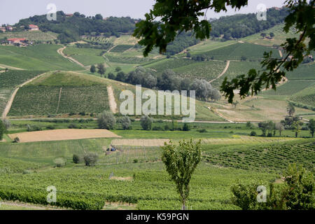 Panorama sur les collines de Monferrato (1) Banque D'Images