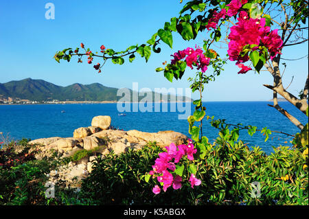 Une vue sur les arbres et fleurs à baie de Nha Trang avec Pearl Island resort dans l'arrière-plan. Banque D'Images