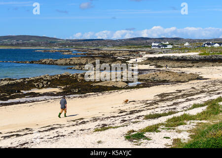 Man Walking dog sur la plage au Mannin Bay près de Ballyconneely dans le Connemara, comté de Galway, en République d'Irlande Banque D'Images