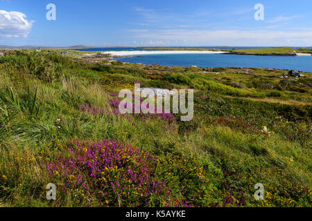 Vue éloignée sur White Sands at Dog's Bay près de Roundstone dans le Connemara, comté de Galway, en République d'Irlande Banque D'Images