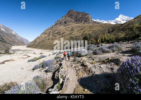 Randonnée dans la vallée de santa cruz, Cordillère blanche, Pérou Banque D'Images