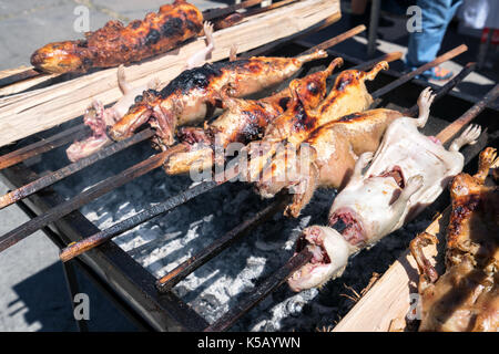 Cobaye à griller dans Huaraz, Pérou Banque D'Images