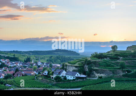 Village Bickensohl, vignoble, vignes, vin, Vogtsburg im Kaiserstuhl, Kaiserstuhl, Bade-Wurtemberg, Allemagne Banque D'Images