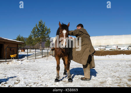 Jeune homme de grimper sur un cheval en face de grange Banque D'Images