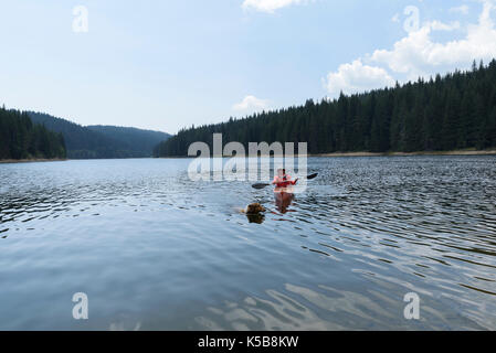 Femme de 40 ans paddling accompagné de chien Banque D'Images