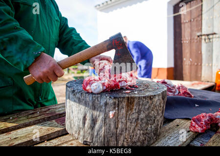 Couper la viande d'ax sur stump tree. Abattage accueil traditionnel dans l'Estrémadure, Espagne Banque D'Images