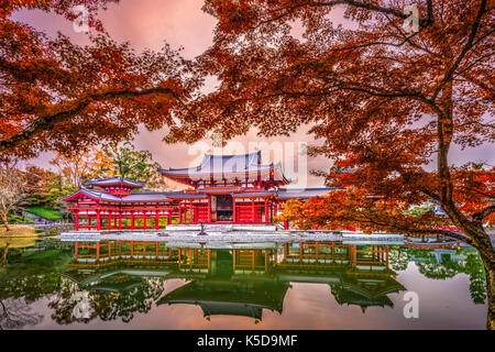 Uji, Kyoto, Japon au temple byodoin durant la saison d'automne. Banque D'Images