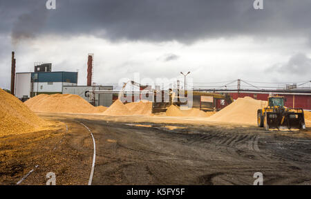 Foresterie, Norrskog, Krokom Sverige Banque D'Images