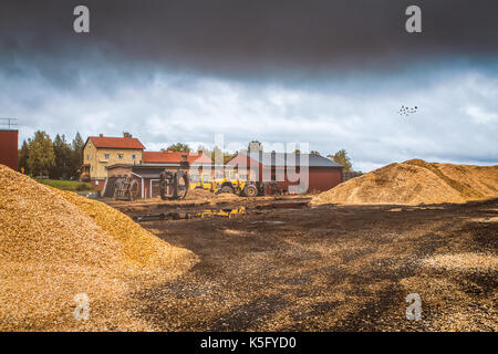 Foresterie, Norrskog, Krokom Sverige Banque D'Images