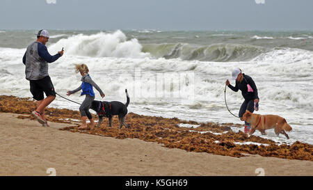 Ft. Lauderdale, FL, USA. Sep 9, 2017. Cameron scott prend des photos de sa femme, Amanda Scott, droite, leur fille, Addison scott, 6, et leurs chiens, luna.et foxy brown comme les éclaboussures des vagues sur la plage de Fort Lauderdale comme l'ouragan irma pousse dans le sud de la Floride le samedi, sept. 9, 2017. L'"nous avons dû sortir, Ã'" dit Cameron, de plantation. L'"nous allons remuer-crazy.ã¢â€" beth Amy Bennett, Sun Sentinel : crédit-sun sentinel/zuma/Alamy fil live news Banque D'Images