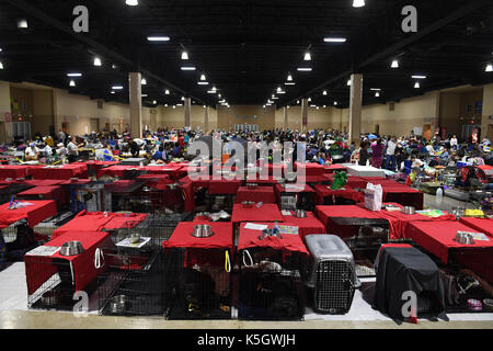 Miami, USA. Sep 9, 2017. Les gens et les chiens sont vus dans un abri à la Miami-Dade County Fair Expo Center à Miami, que l'ouragan irma s'approche, à Miami, en Floride, aux États-Unis, sept. 9, 2017. de 5,6 millions de personnes en Floride ont été l'ordre d'évacuer, alors que 54 000 Floridiens ont pris refuge dans 320 refuges au floride. Les prévisionnistes s'attendent à ce que l'ouragan à frapper la floride tôt dimanche matin. crédit : yin bogu/Xinhua/Alamy live news Banque D'Images