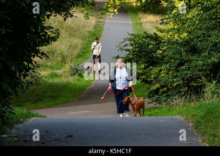 Les gens à pied leurs chiens dans le parc de Greenwich à Londres, Angleterre, Royaume-Uni, UK Banque D'Images