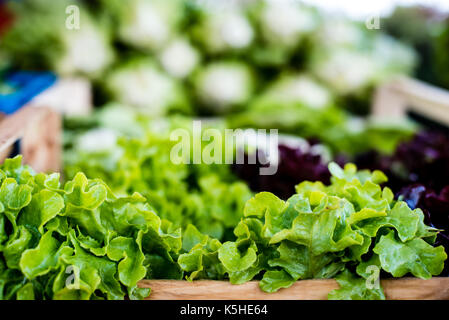 Détail de salade gentilina sur stand focus sélectif avec divers légumes colorés en arrière-plan Banque D'Images