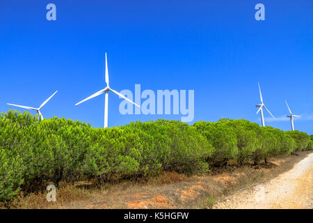 Paysage éoliennes Banque D'Images