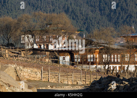 La vallée de Phobjikha, western bhutan - février 22, 2015 : framhouse en vallée de Phobjikha, décoré dans le style bhoutanais. Banque D'Images