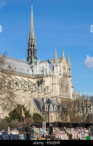 Les piétons en face de seconde main (libraires bouquinistes) avec derrière la cathédrale Notre Dame, Paris, France Banque D'Images