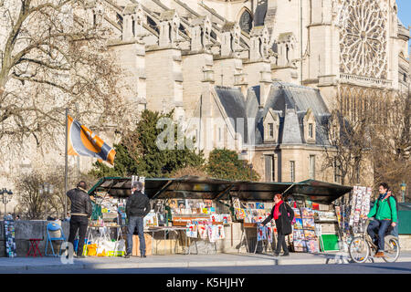 Les piétons en face de seconde main (libraires bouquinistes) avec derrière la cathédrale Notre Dame, Paris, France Banque D'Images