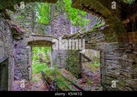 Les ruines de l'ancien therme sont envahis par des arbres et arbustes Banque D'Images