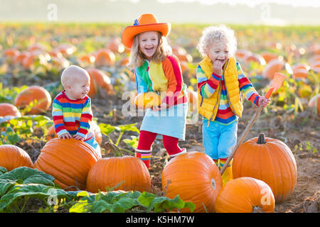 Petite fille, garçon et bébé citrouille halloween cueillette de citrouilles. enfants jouant dans le champ de courges. enfants choisir des légumes dans une ferme de thanksgi Banque D'Images