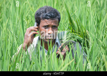 Pour favoriser l'information pour la communauté agricole la vulgarisation agricole ont été numérisés avec call center Call Center Krishi lick Banque D'Images