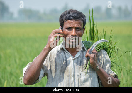 Pour favoriser l'information pour la communauté agricole la vulgarisation agricole ont été numérisés avec call center Call Center Krishi lick Banque D'Images