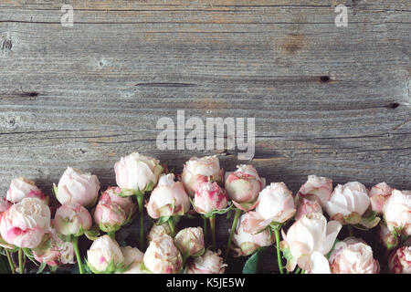 Roses rose vintage sur fond de bois. floral frame background, fond de mariage ou mariage carte postale. copie espace pour texte haut de la page Avis Banque D'Images