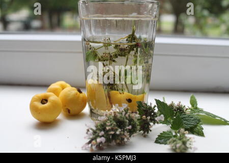 Tisane chaude à partir de la menthe et de coing protection contre le rhume et la grippe Banque D'Images