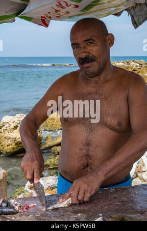 Cartagène, Colombie - 15 déc 2015 : un pêcheur nettoie et prépare pour la vente du poisson Banque D'Images