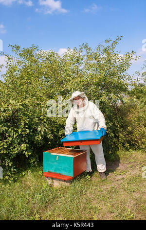 Ouverture de l'apiculteur ruche. apiculteur de vêtements de protection en nid d'inspection trame en apiculture rucher. concept Banque D'Images