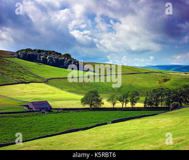 Une vue d'été de terres agricoles près de hawes dans les vallées du Yorkshire, Angleterre Banque D'Images