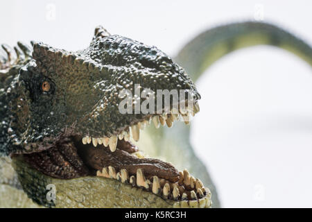 Allosaur sur fond blanc Banque D'Images