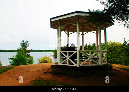 Belvédère de la nature dans les bois Plantes Arbres de Green Lake Banque D'Images