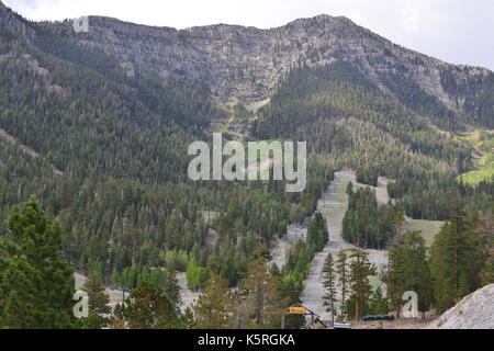 Mount Charleston dans nevada usa. Banque D'Images