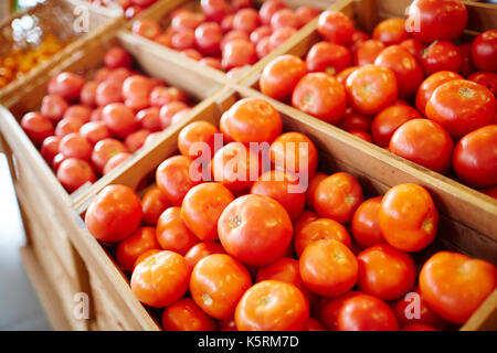 Des tomates pour la vente Banque D'Images