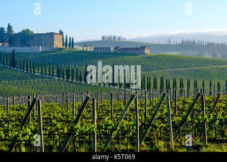 Tuscanian typique paysage avec une ferme située sur une colline, les vignes, Cypress Avenue et le brouillard du matin au lever du soleil dans le Chianti Banque D'Images