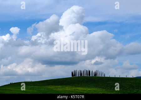 Paysage typique tuscanian avec green hills, une avenue de cyprès bleu et ciel nuageux, dans la région de Chianti Banque D'Images